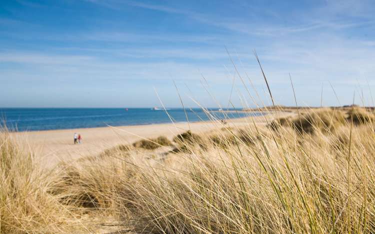 Shell Bay, Studland