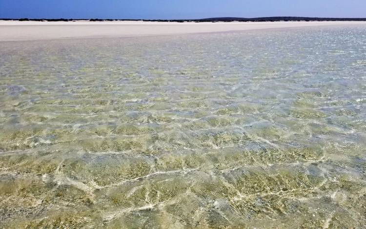 Shell Beach - Australia