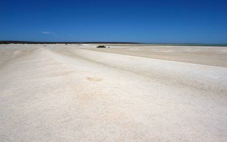 Shell Beach - Australia