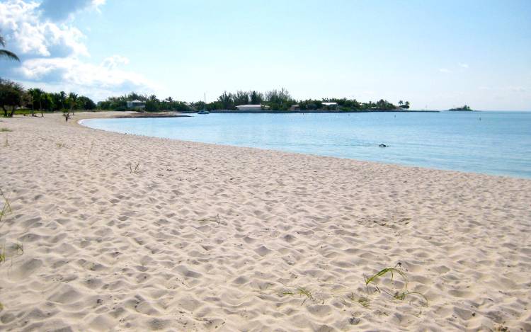 Amateur beach nudists stretching on the golden sand