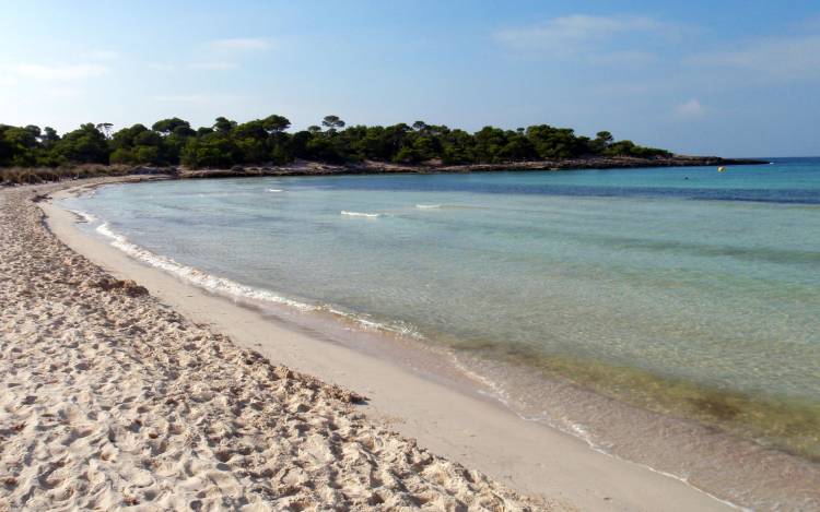 Son Saura Beach - Spain