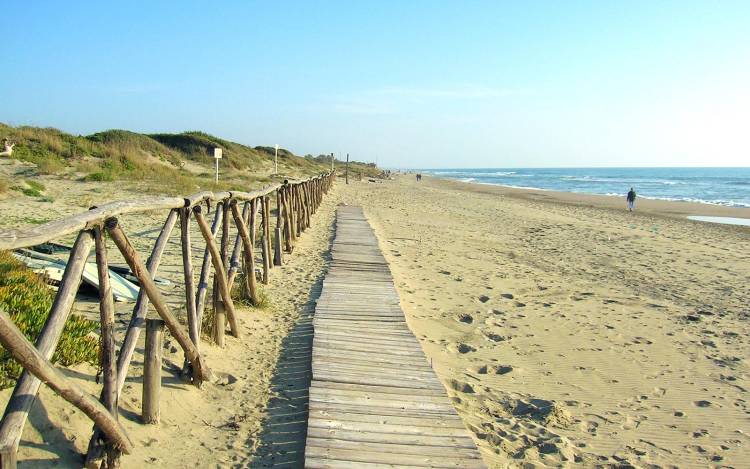 Spiaggia di Capocotta - Italy