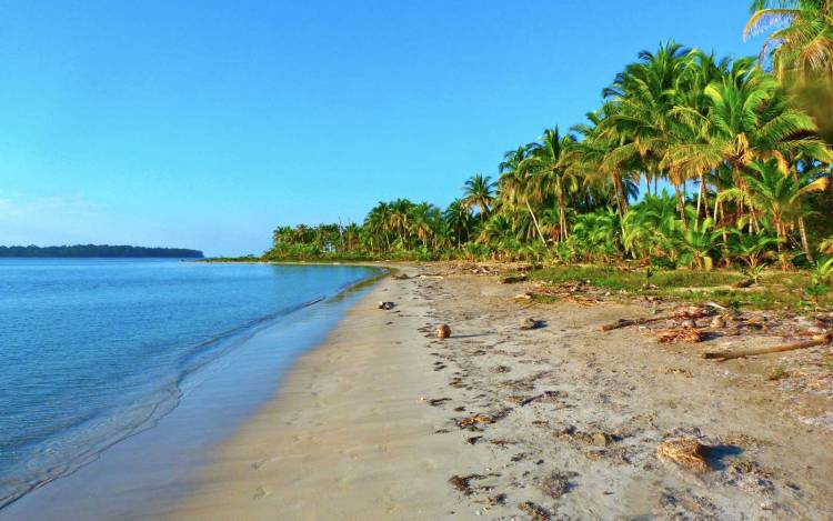 Starfish Beach / Isla Colón / Caribbean Coast // World Beach Guide