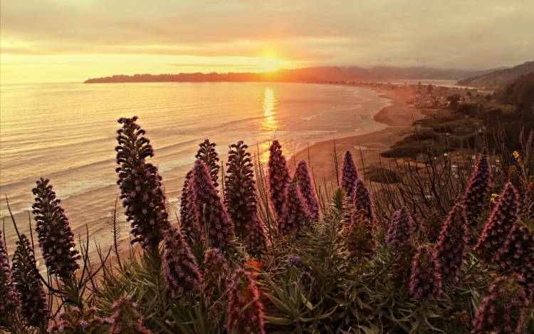 Stinson Beach