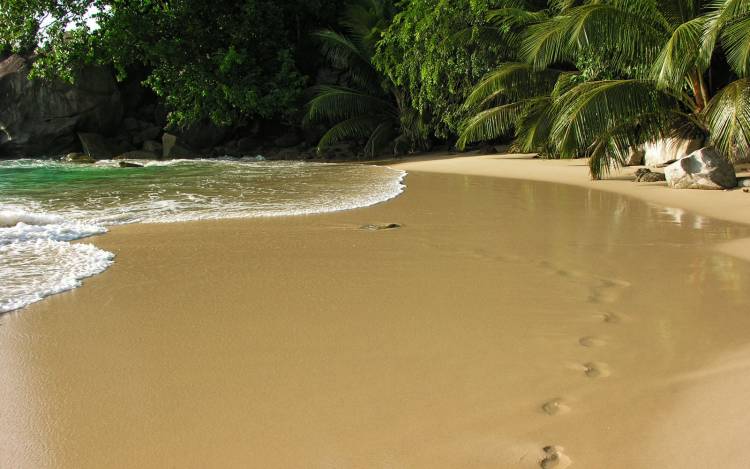 Sunset Beach - Seychelles