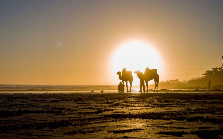 Taghazout Beach - Morocco