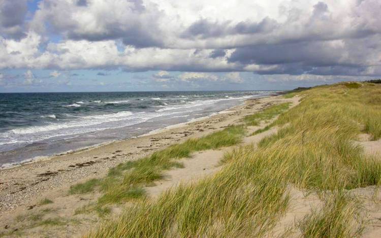 Tisvildeleje Strand - Denmark