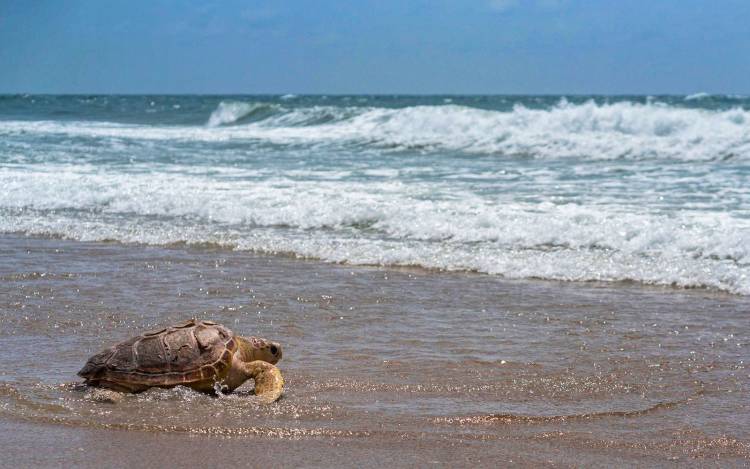 Topsail Beach - USA