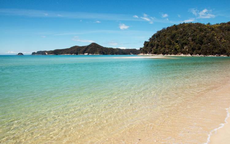 Torrent Bay - New Zealand