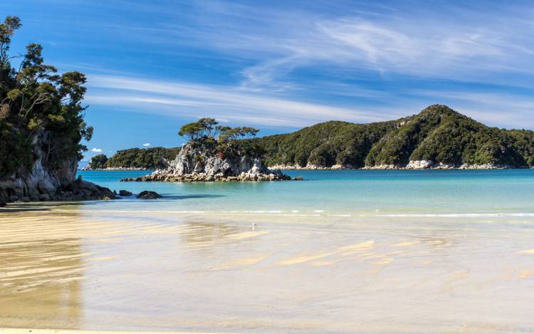 Torrent Bay - New Zealand