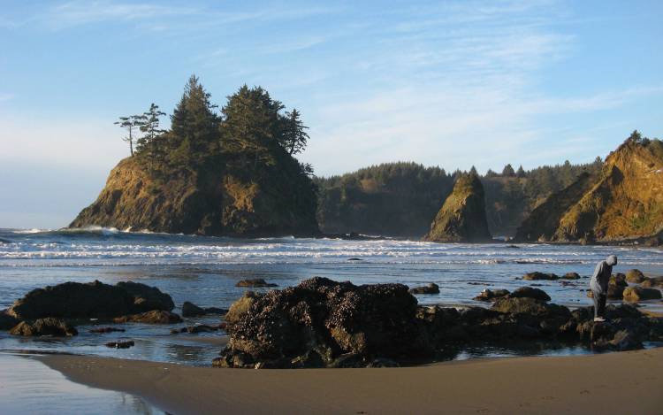 Trinidad State Beach