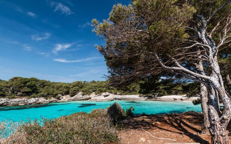 Cala en Turqueta - Spain