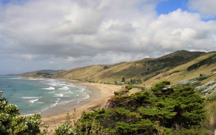 Wainui Beach