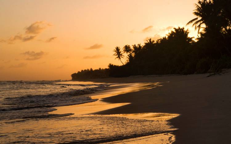 Weligama Beach - Sri Lanka