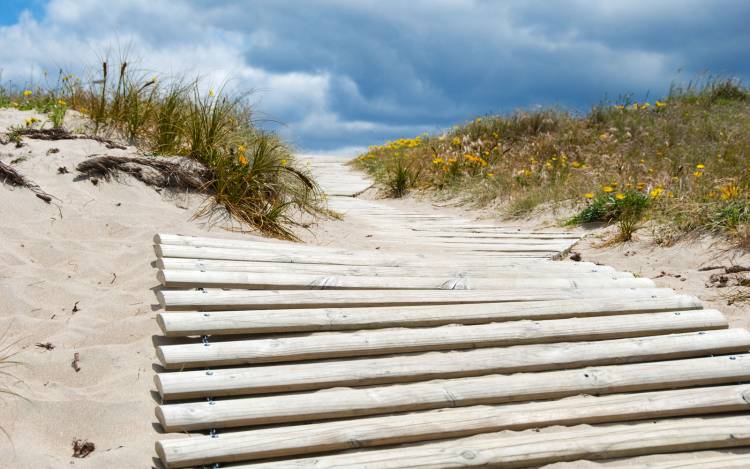 Whangamata Beach - New Zealand