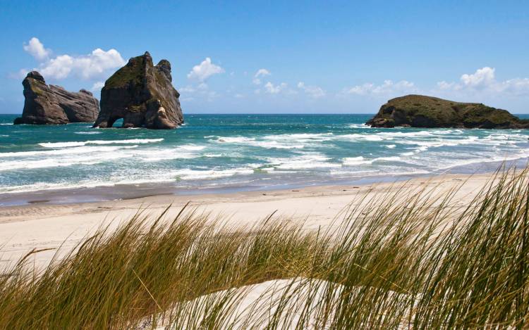 Wharariki Beach