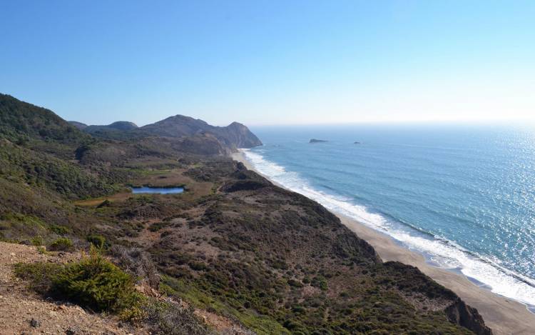 Wildcat Beach - USA