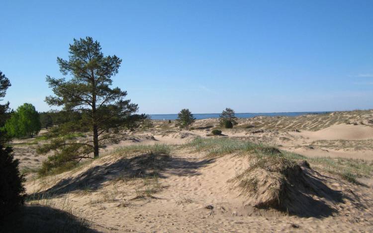 Yyteri Naturist Beach - Finland