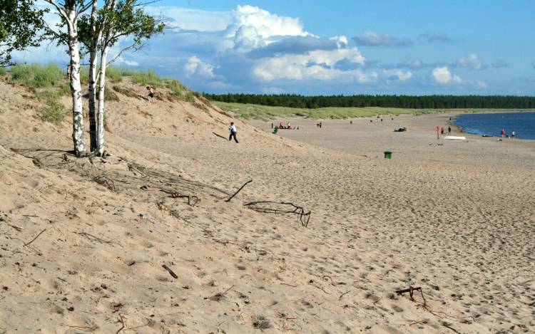 Yyteri Naturist Beach