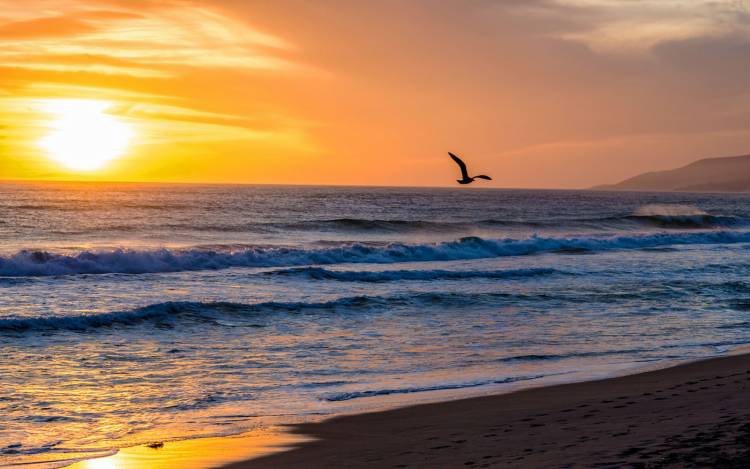 Zuma Beach  FUN WITH KIDS IN LA