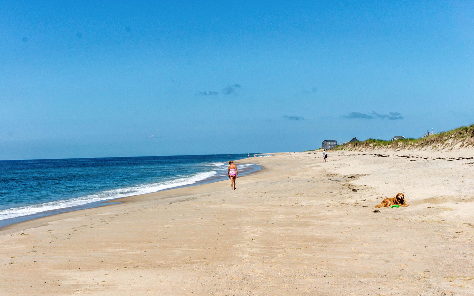 5 Best Beaches in Nantucket // World Beach Guide