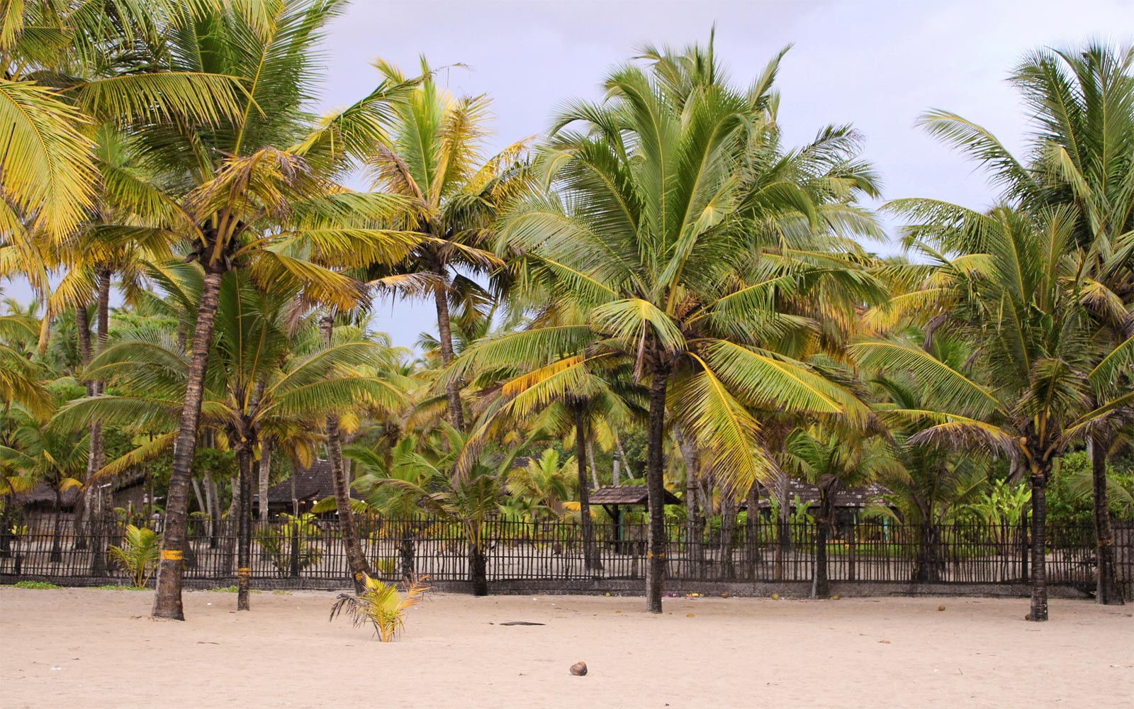 Marari Beach - India