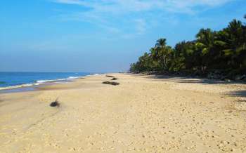 Kerala beaches