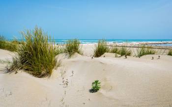 Alberoni Beach - Italy