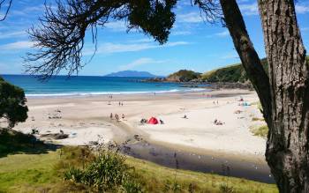 Anchor Bay - New Zealand