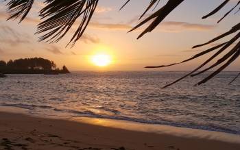 Anse Aux Pins Beach - Seychelles