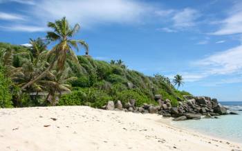 Anse Forbans Beach - Seychelles