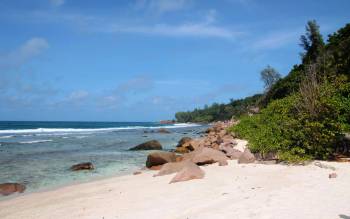 Anse Fourmis Beach - Seychelles