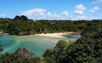 Bathing Beach - New Zealand