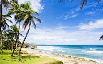 Bathsheba Beach - The Caribbean