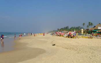 Benaulim Beach - India