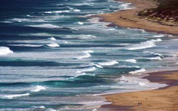 Birdie Beach - Australia