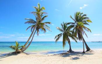 Turneffe Atoll Beach - Belize