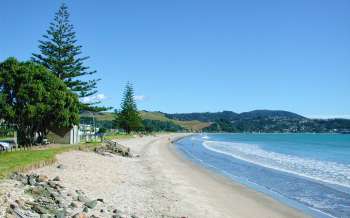 Buffalo Beach - New Zealand