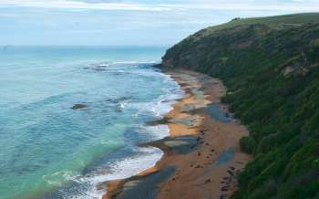 Bushy Beach - New Zealand