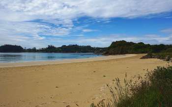 Butterfield Beach - New Zealand