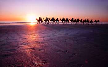 Cable Beach / Western Australia / Australia // World Beach Guide