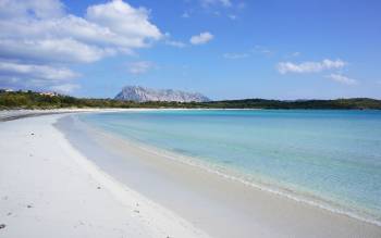 Cala Brandinchi - Italy