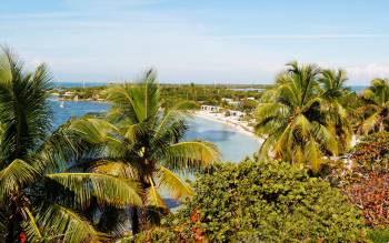 Calusa Beach