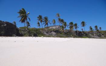 Harrismith Beach - The Caribbean