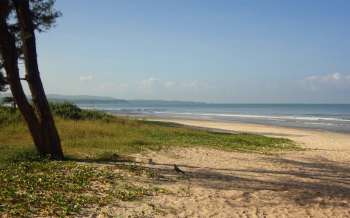 Cavelossim Beach - India