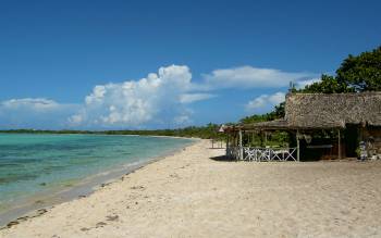 Playa Coco - The Caribbean