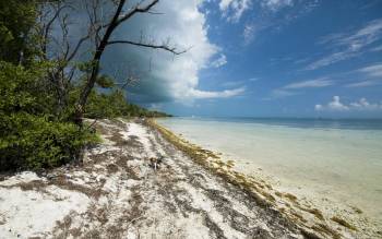 Coco Plum Beach - USA