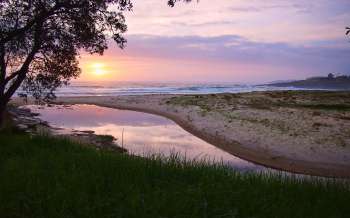 Cormorant Beach