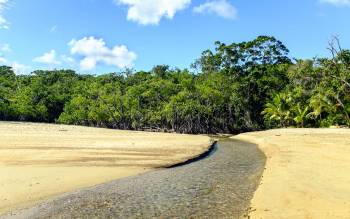 Cow Bay - Australia