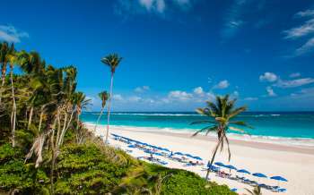 Crane Beach - The Caribbean